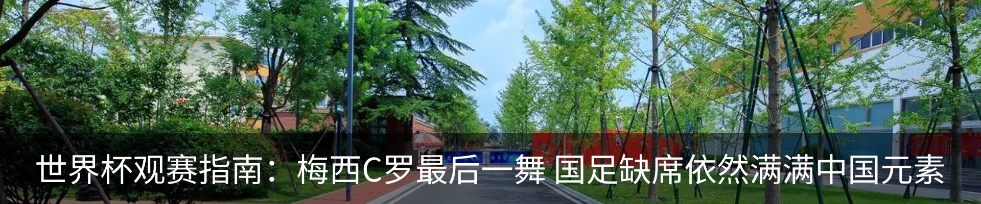 新闻动态